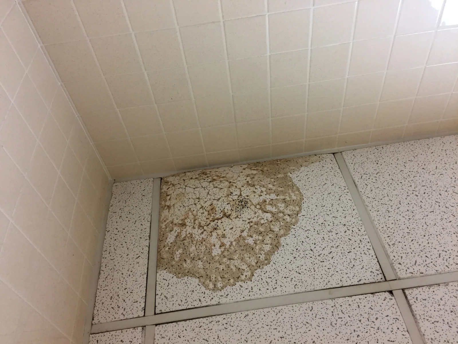 Water-stained ceiling tiles with brown water damage, awaiting ceiling water damage repair in Lancaster, CA